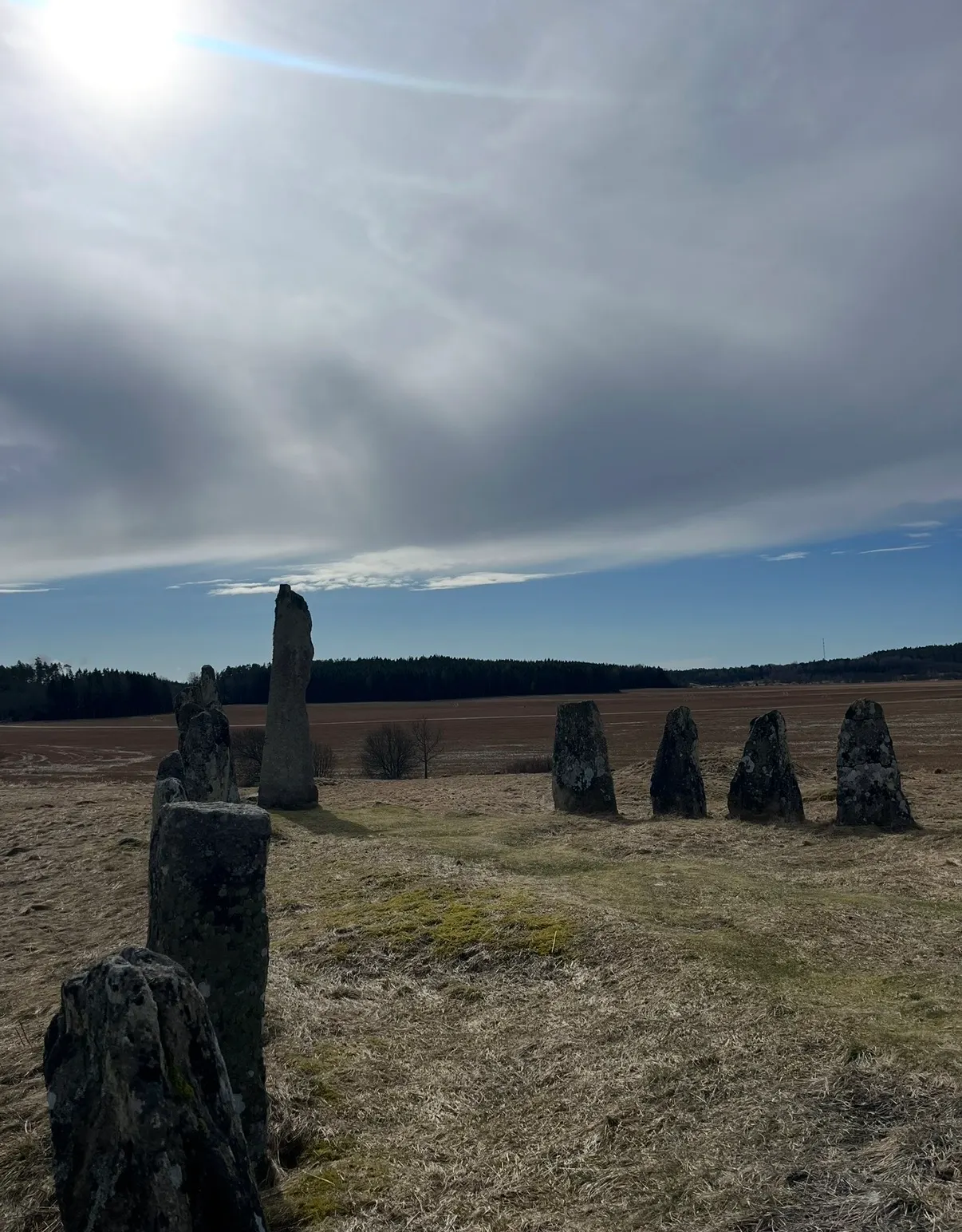 Resta stenar i en ring på ett gärde, med skog i bakgrunden.